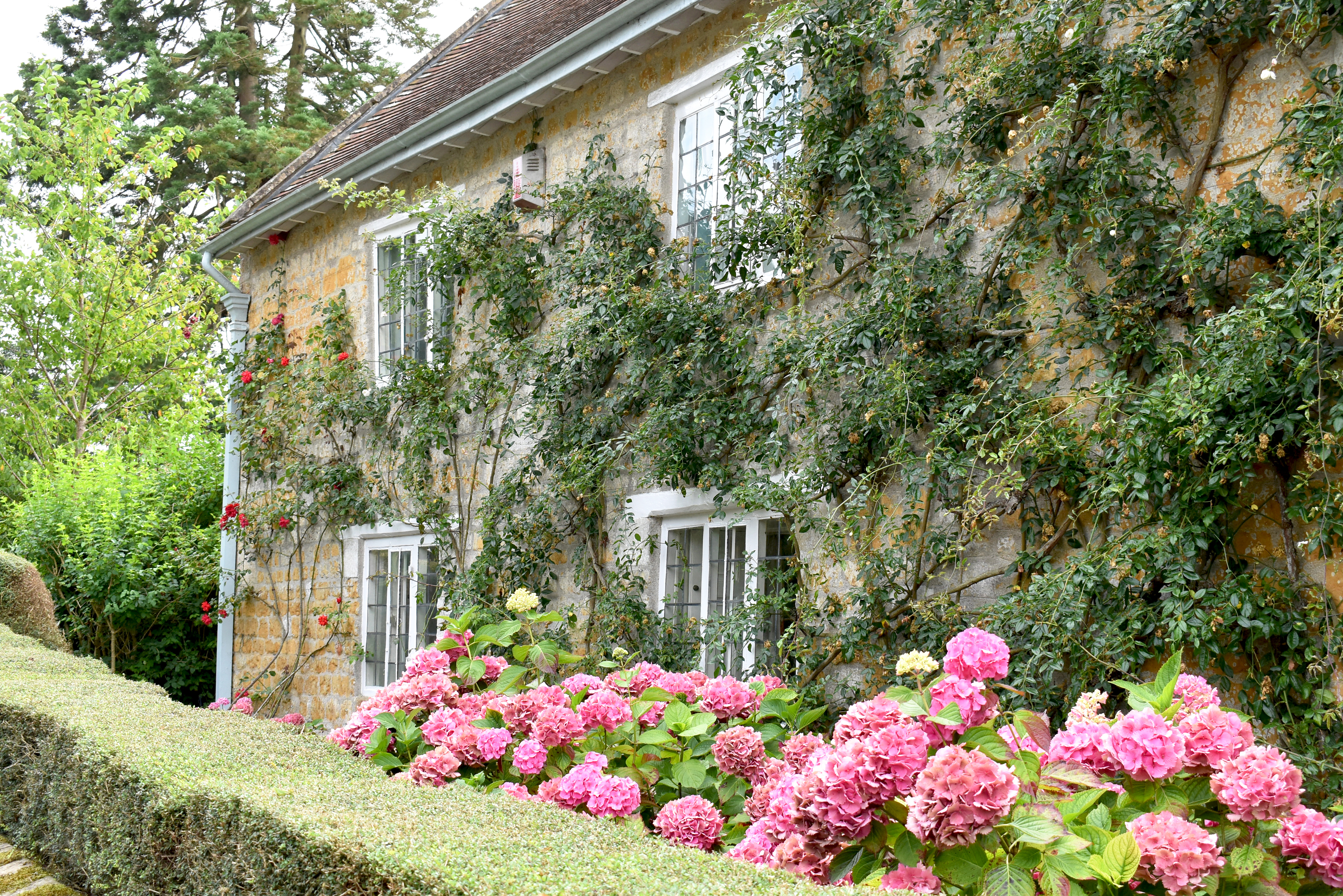 Ansford Old Parsonage, Somerset, birthplace of James Woodforde. His 43-year daily diary was written mainly in Somerset, Oxford and Norfolk, and we regularly visit the diarist’s haunts from his early years to the last years of his life